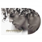 DAVID BISBAL:SIN MIRAR ATRAS (EDIC.15º ANIVERSARIO )-PICTURE